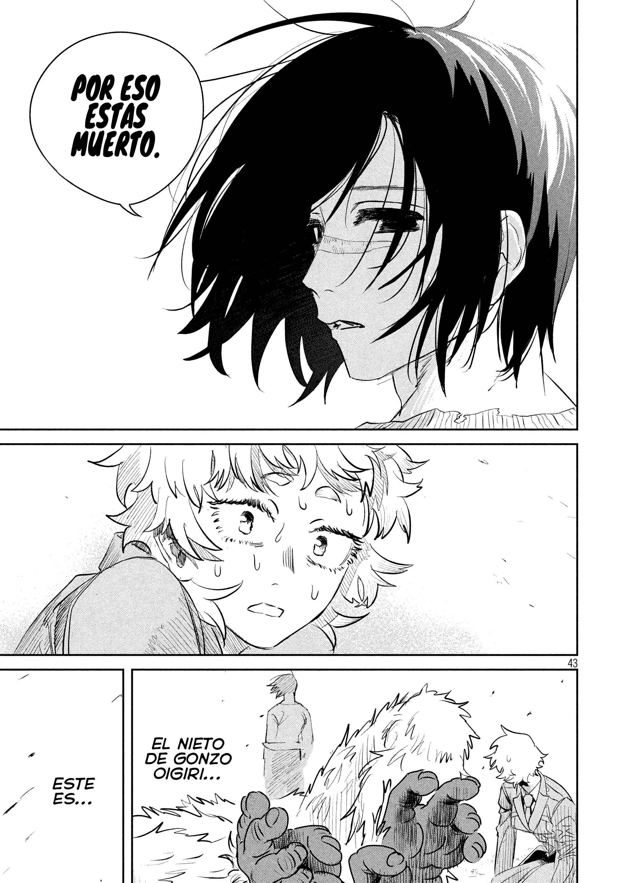 Page 43
