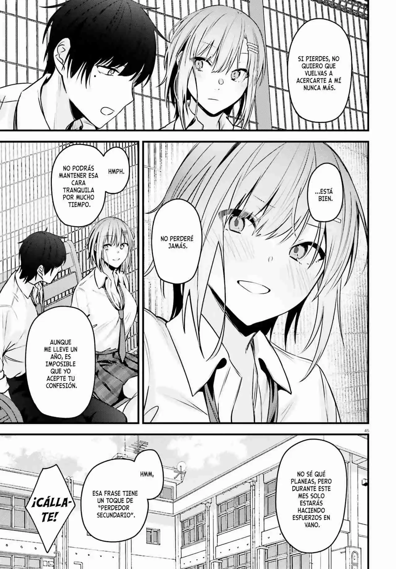 Page 45