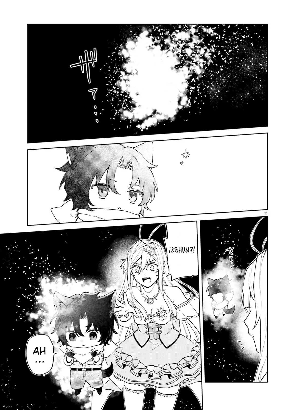 Page 25