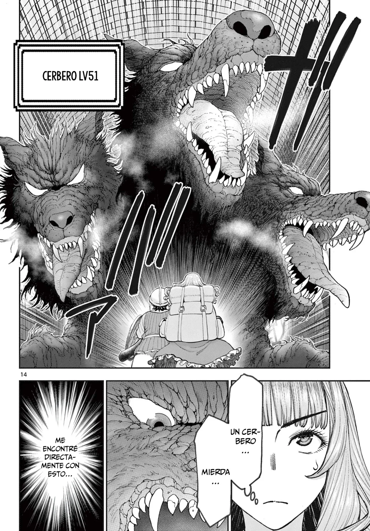 Page 14