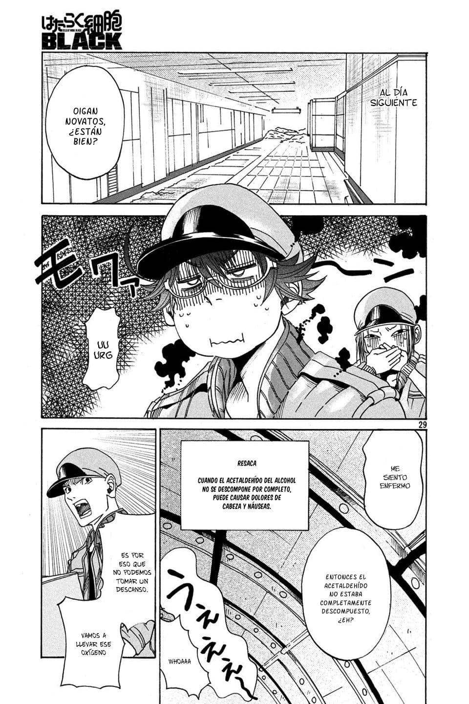 Page 29