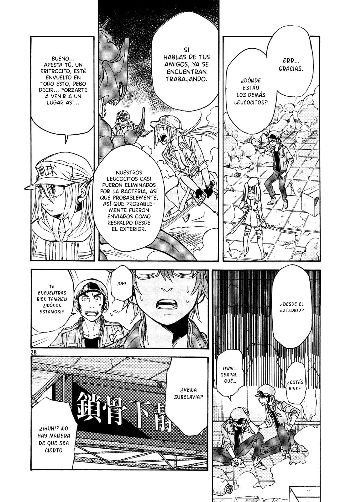 Page 29