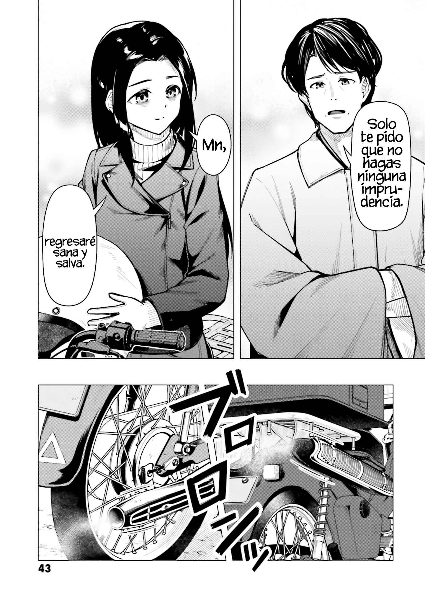 Page 43