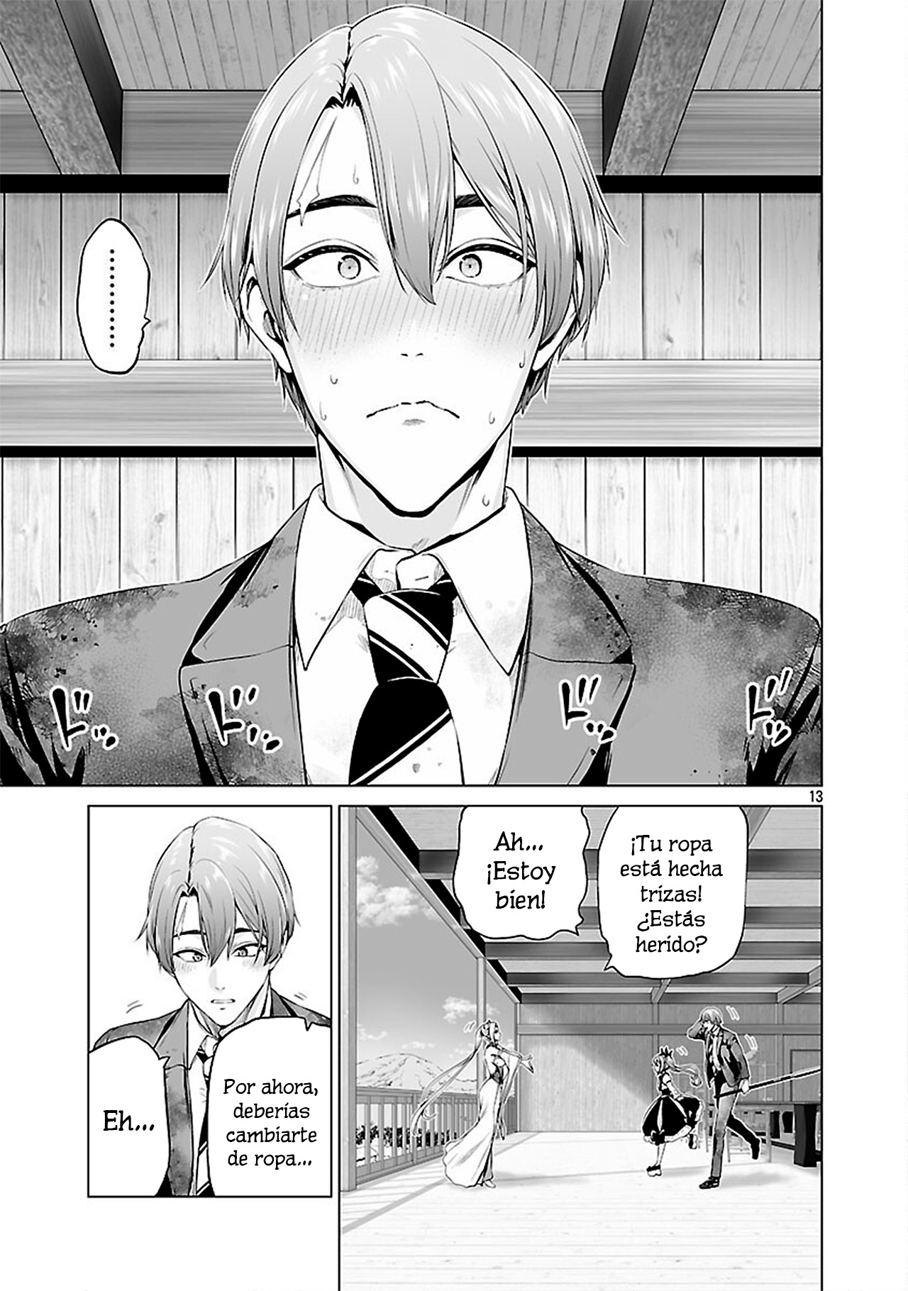 Page 13