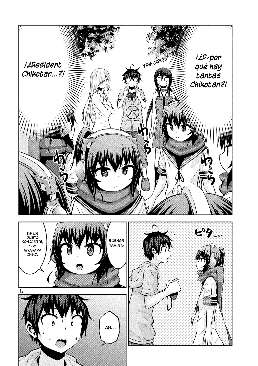 Page 12