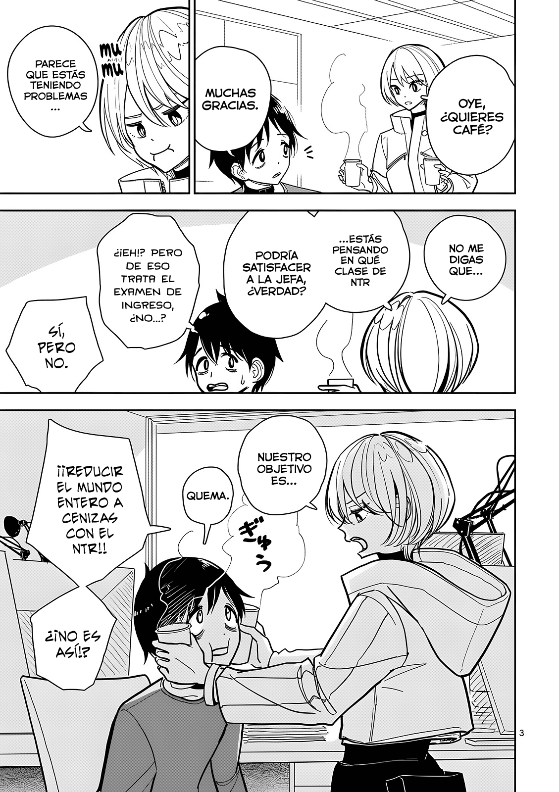 Page 3
