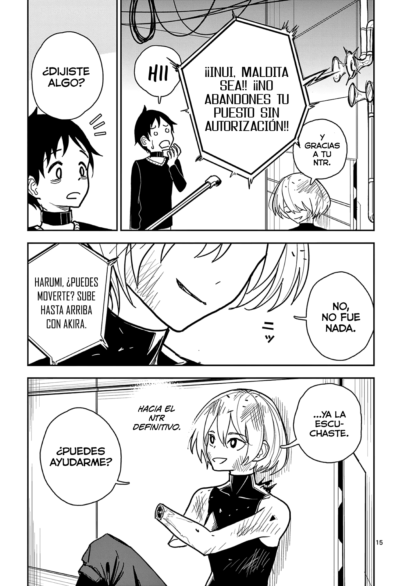 Page 15