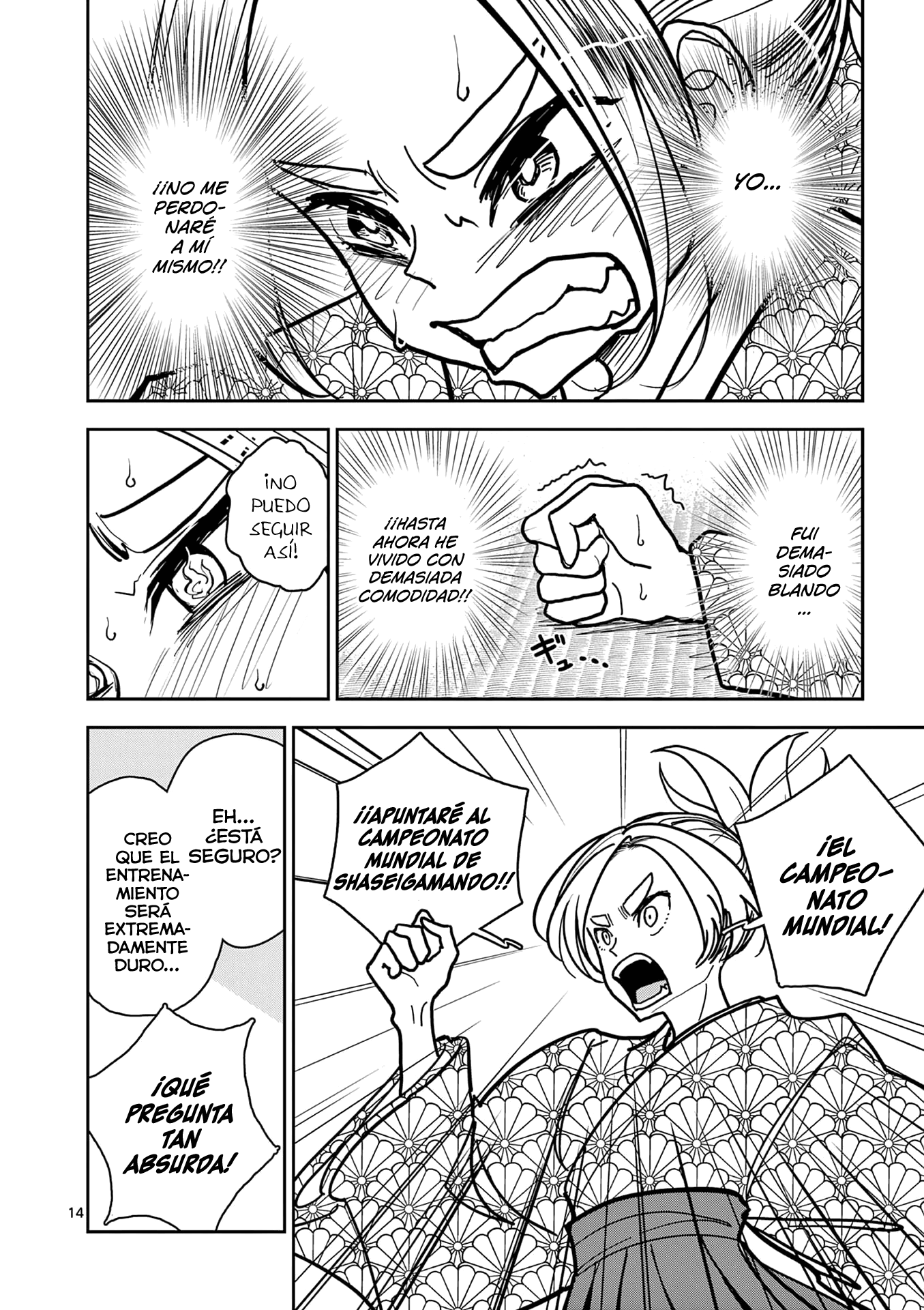 Page 14