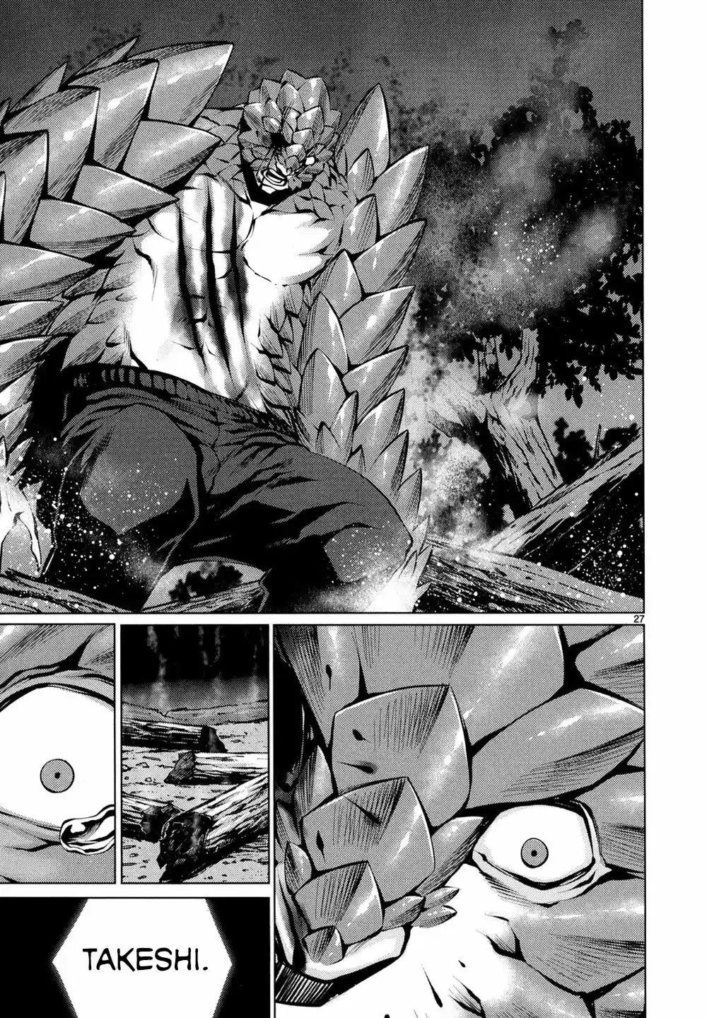 Page 27
