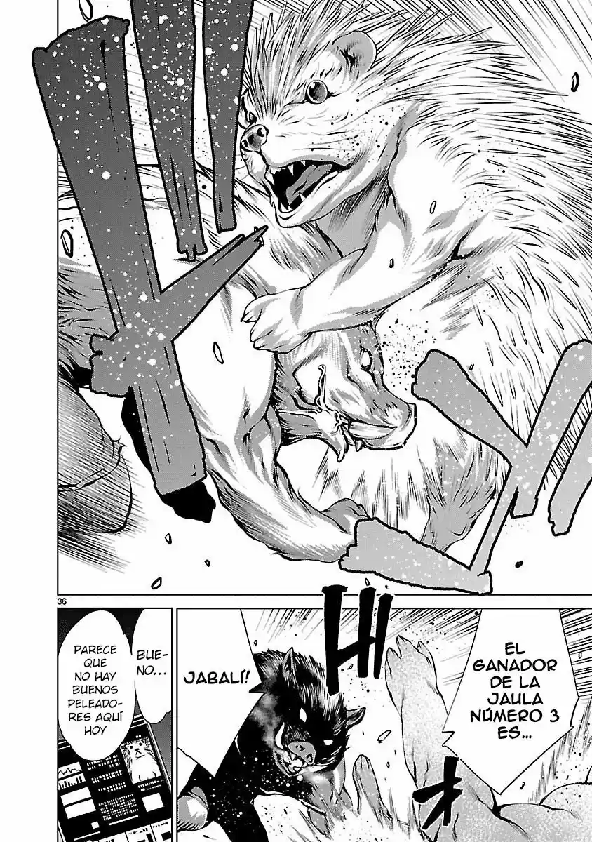 Page 37