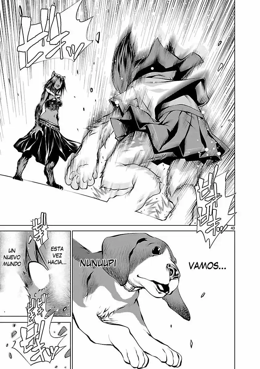 Page 44