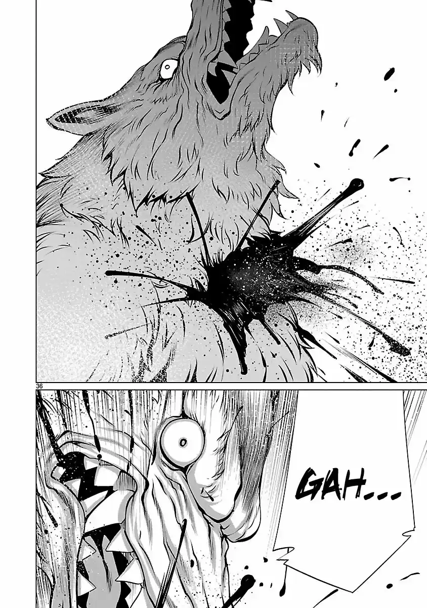 Page 36