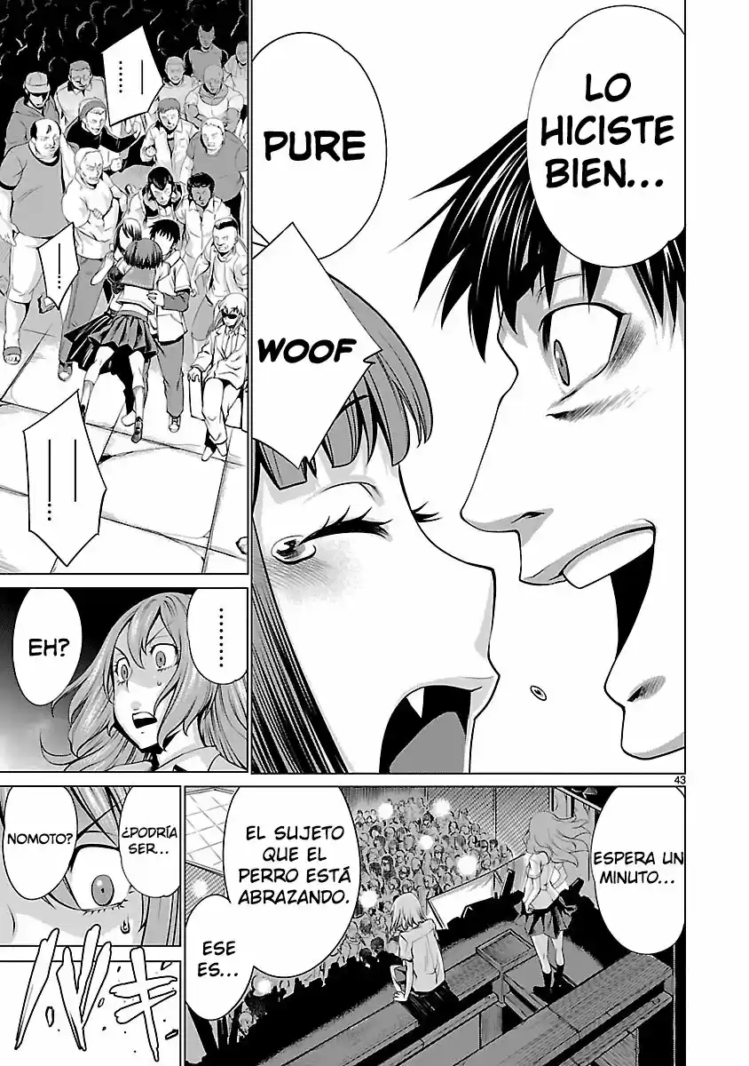 Page 43