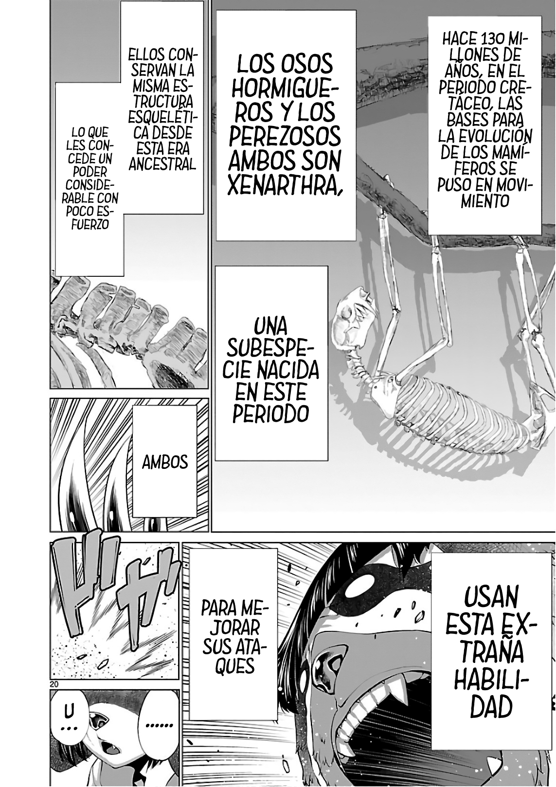 Page 20
