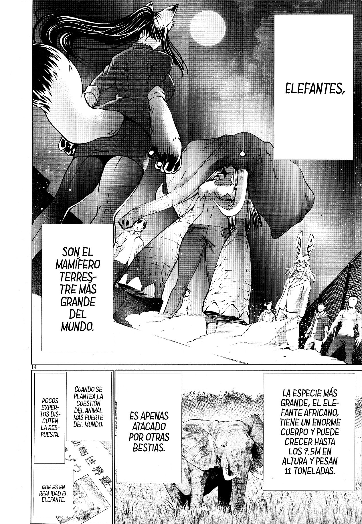 Page 14