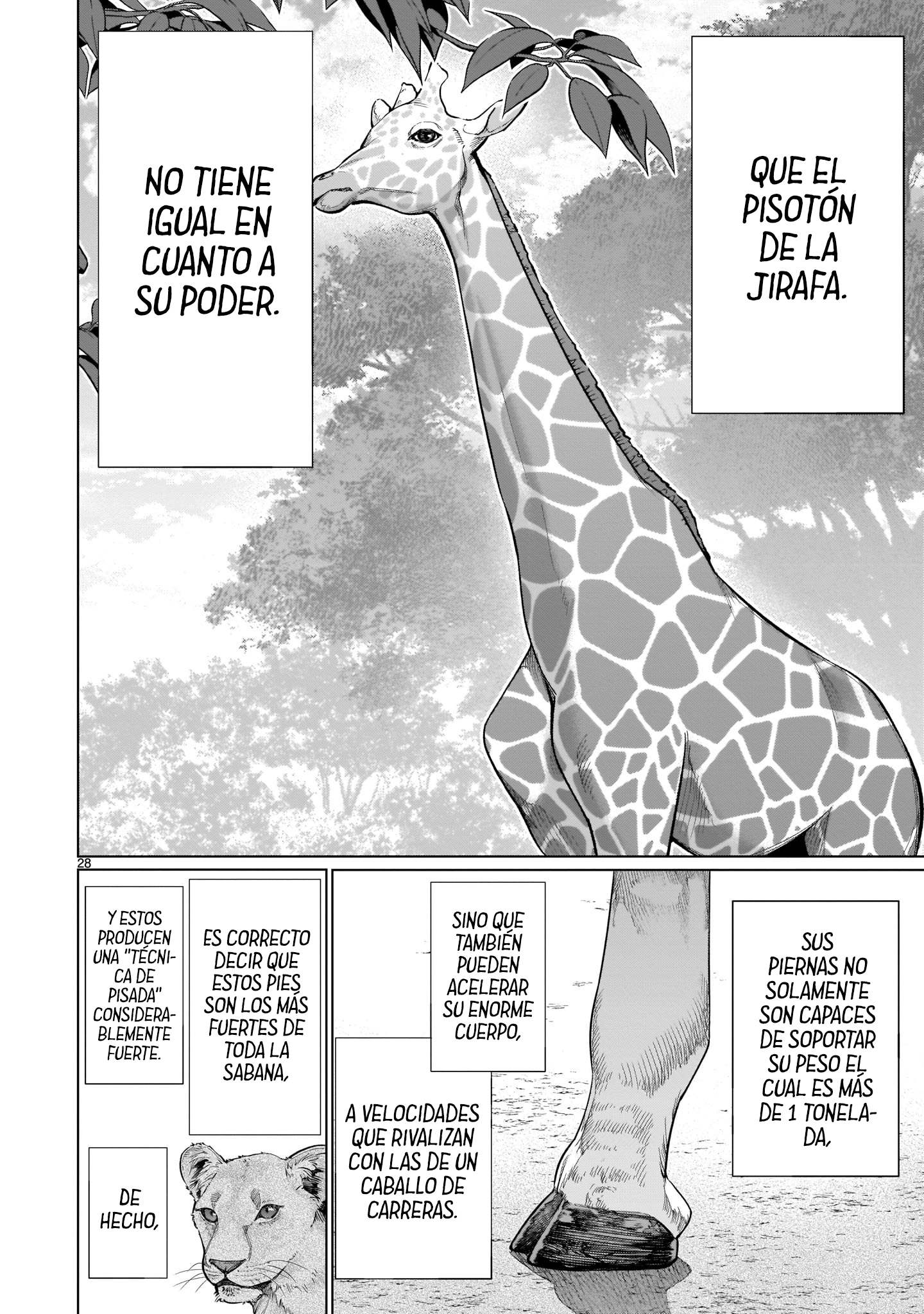 Page 28