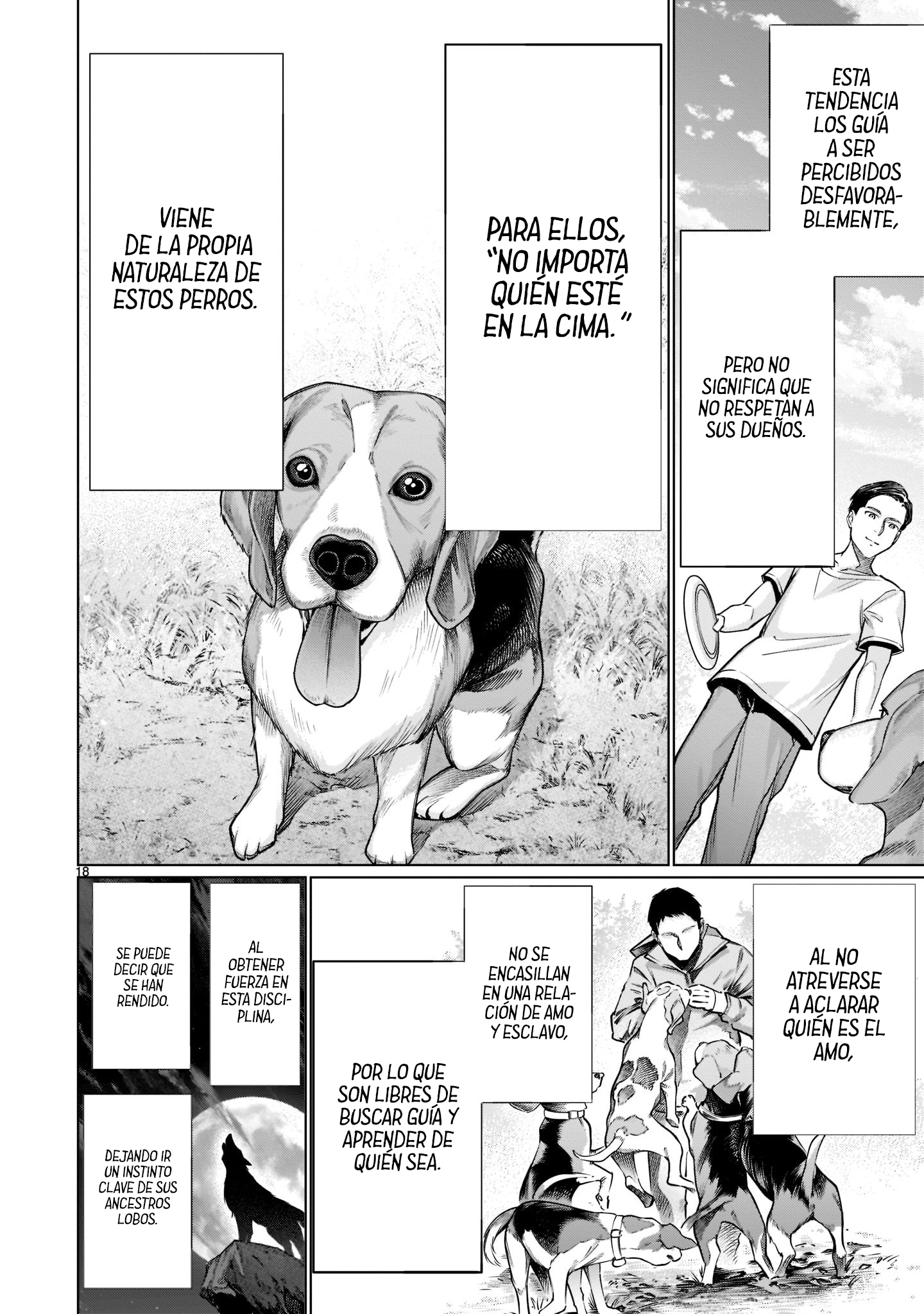 Page 18