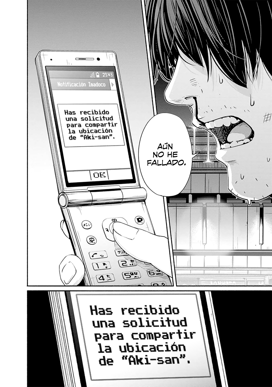 Page 43