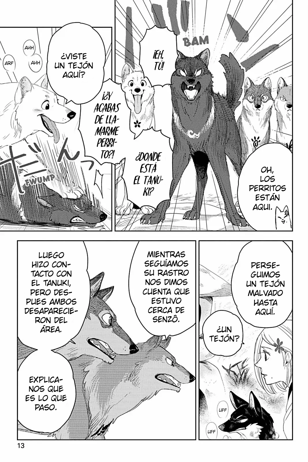 Page 13