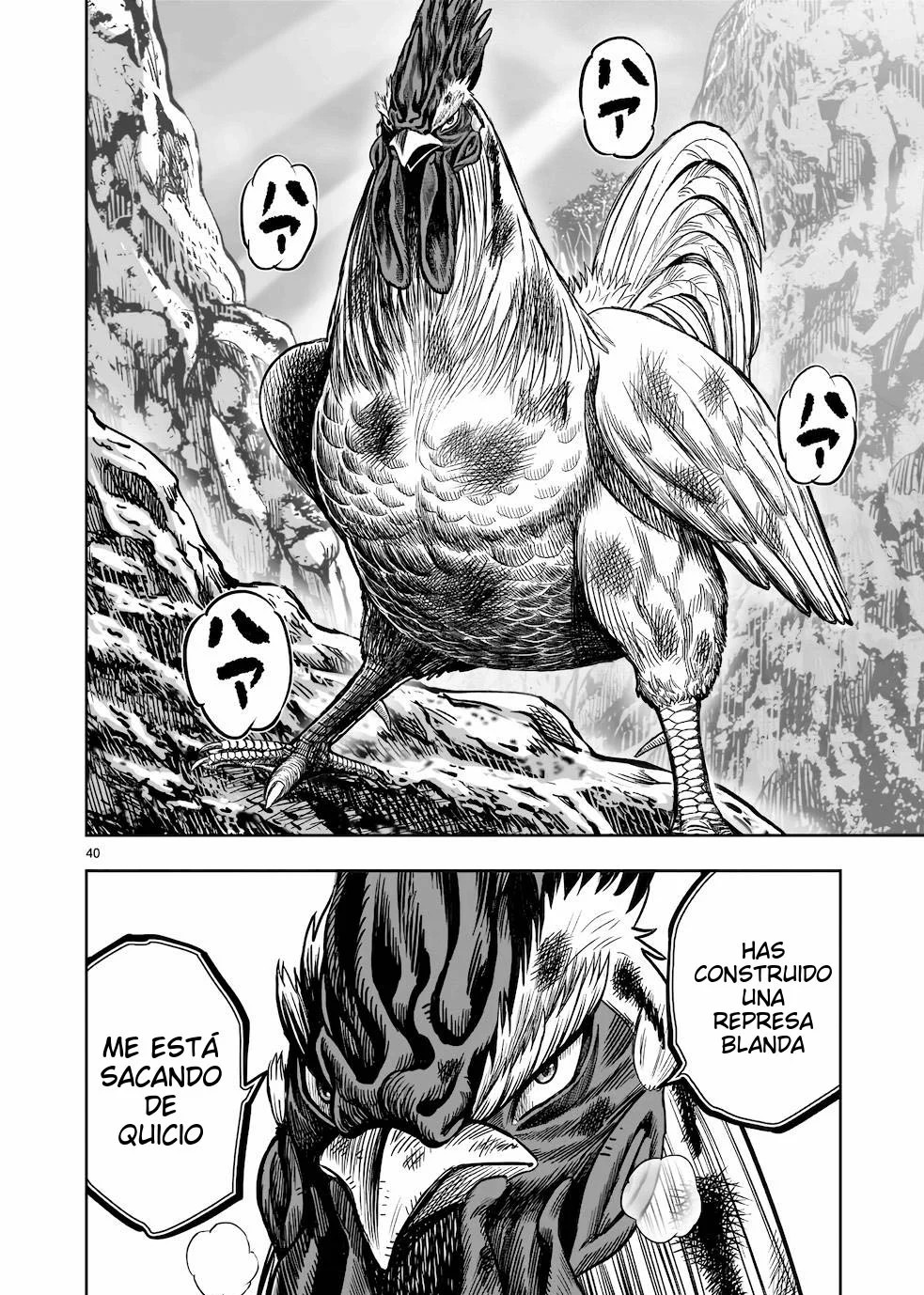 Page 40