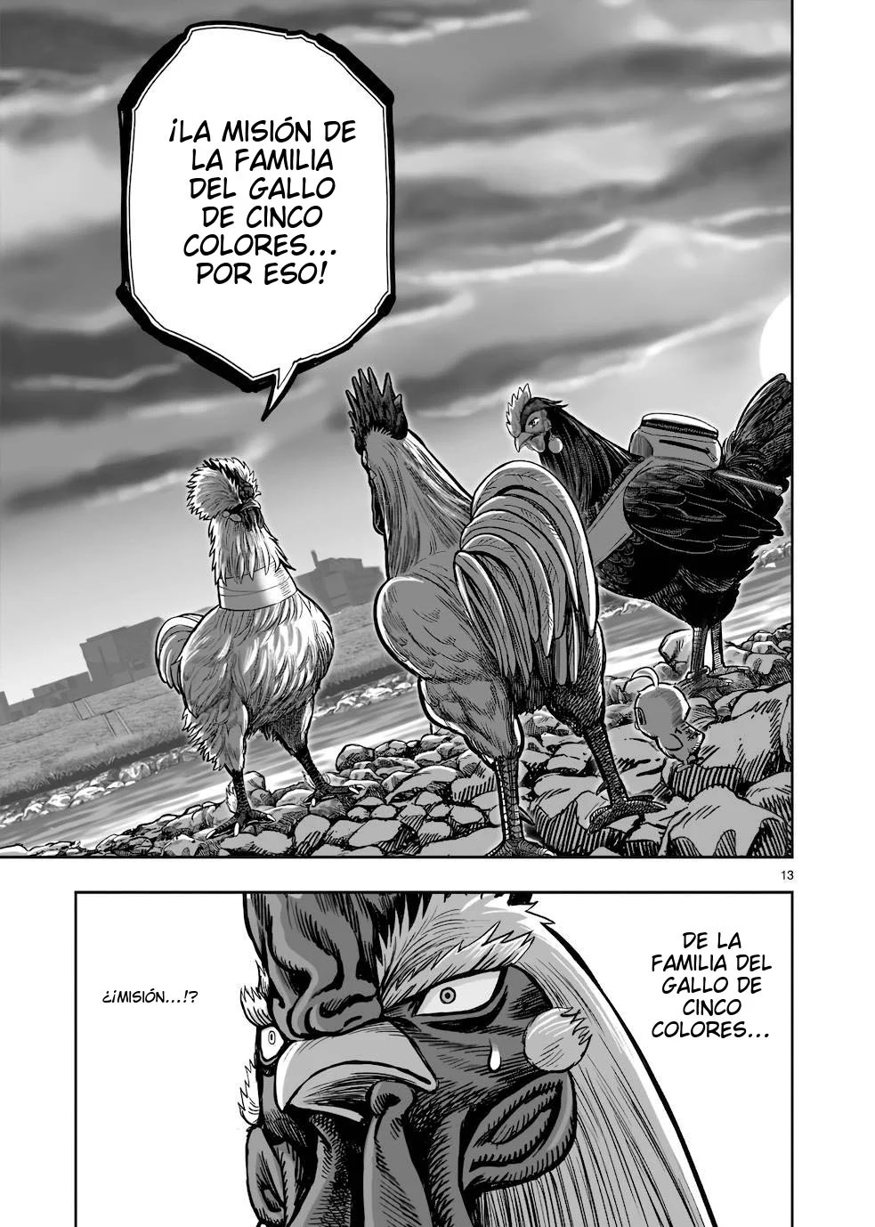Page 13