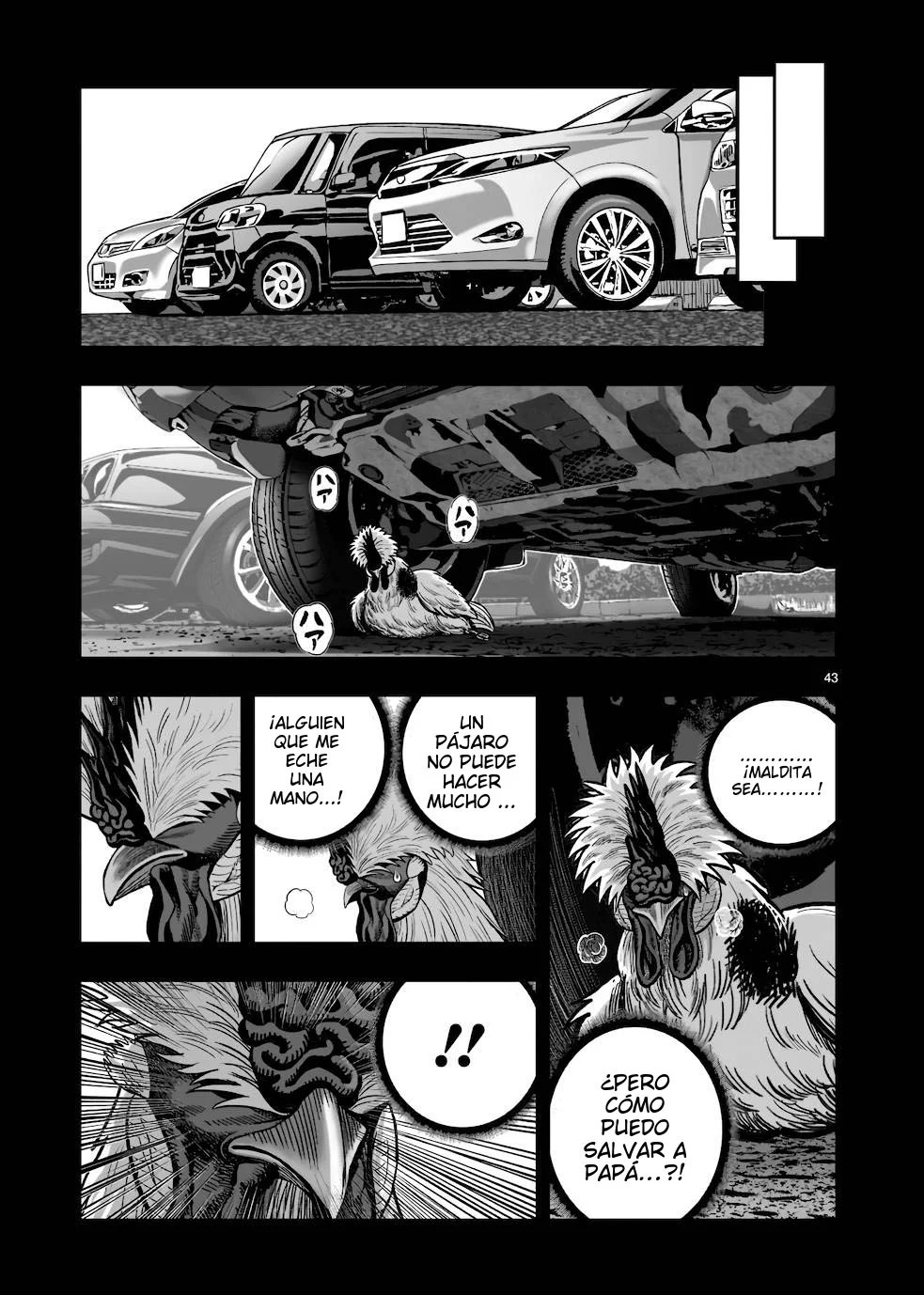 Page 43