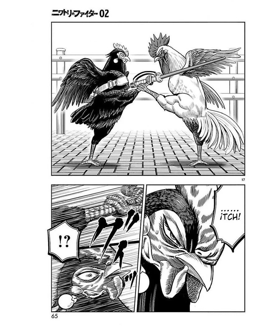 Page 17