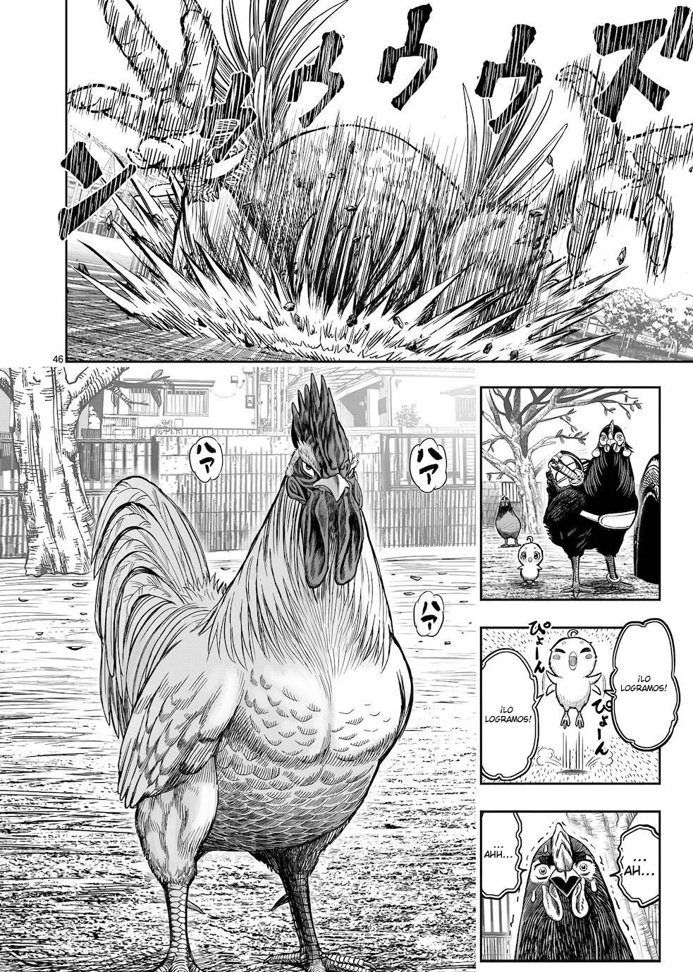 Page 46