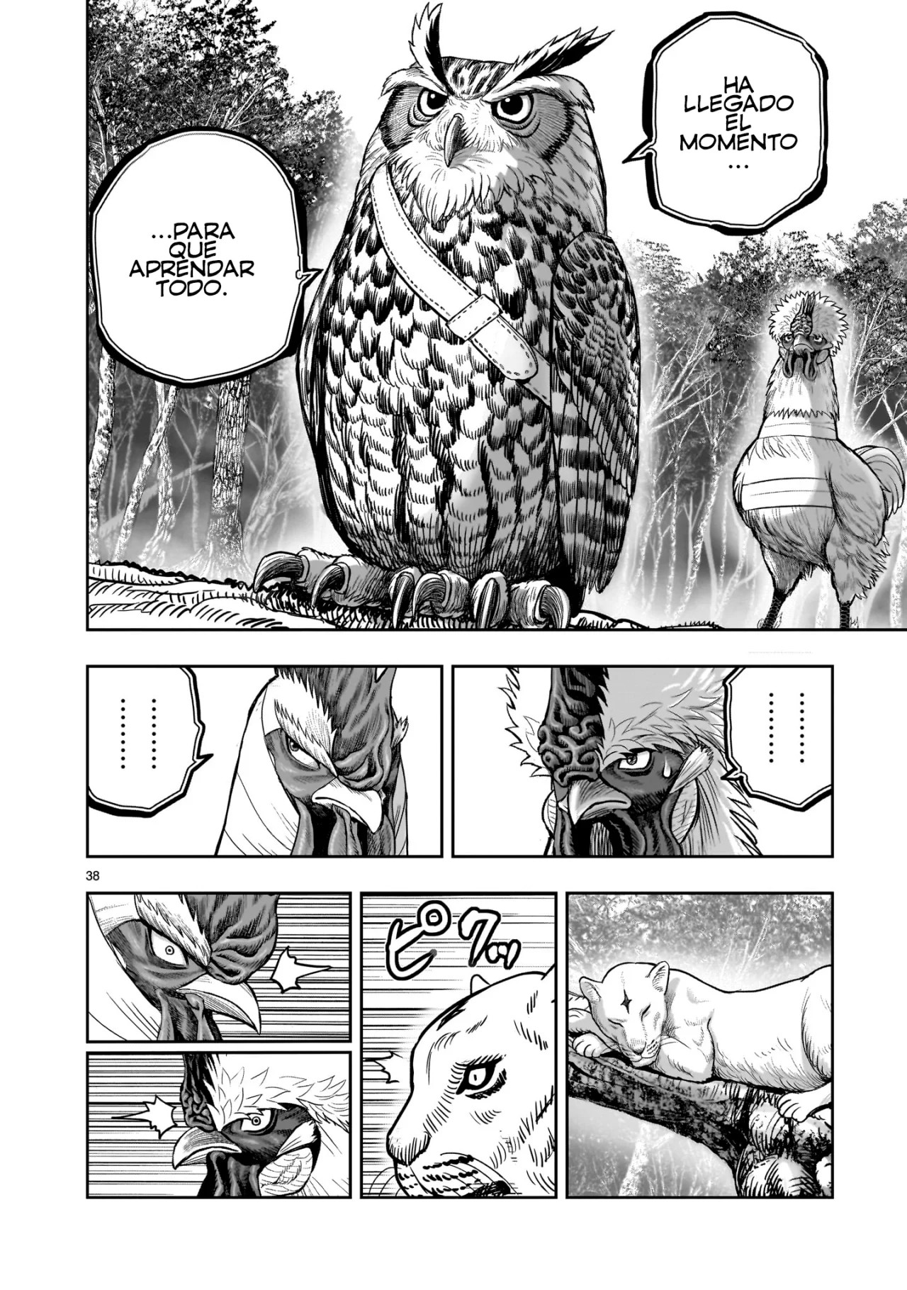 Page 42