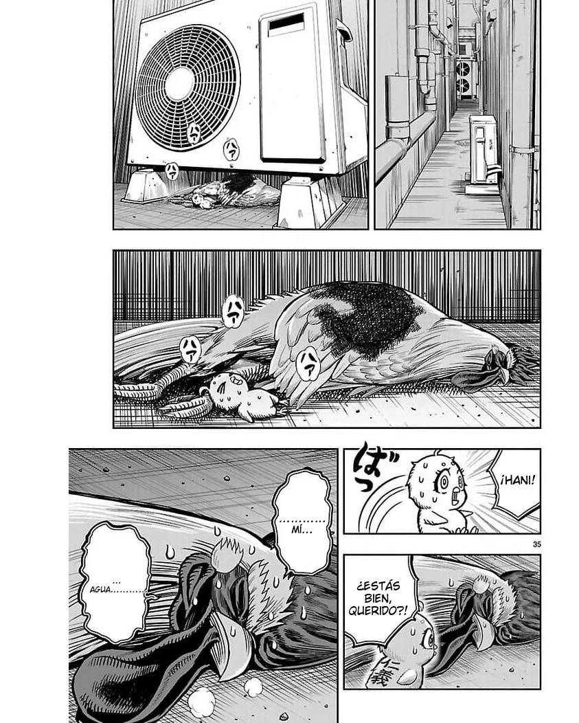 Page 35