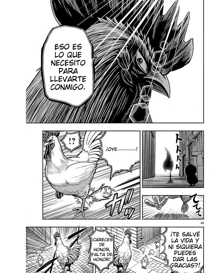 Page 43