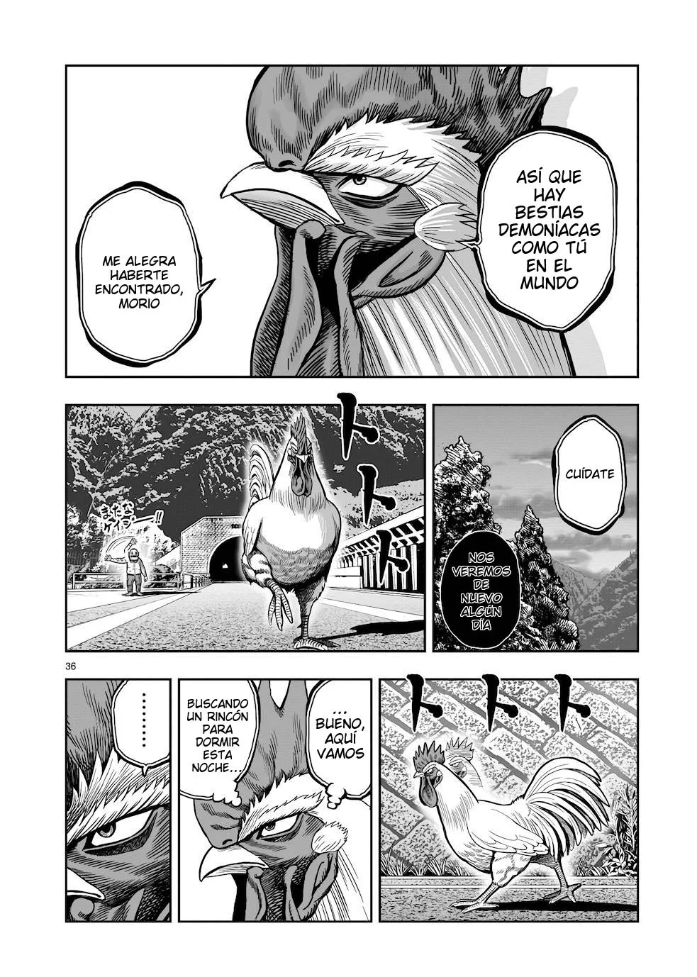 Page 36
