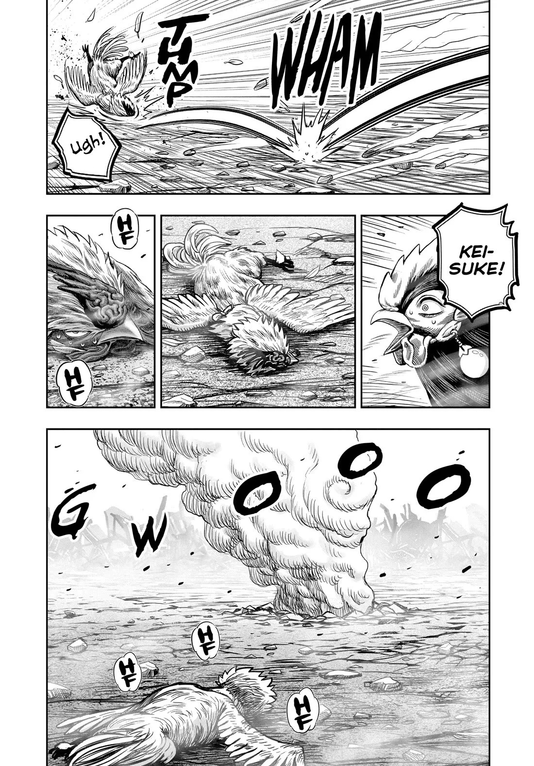 Page 43