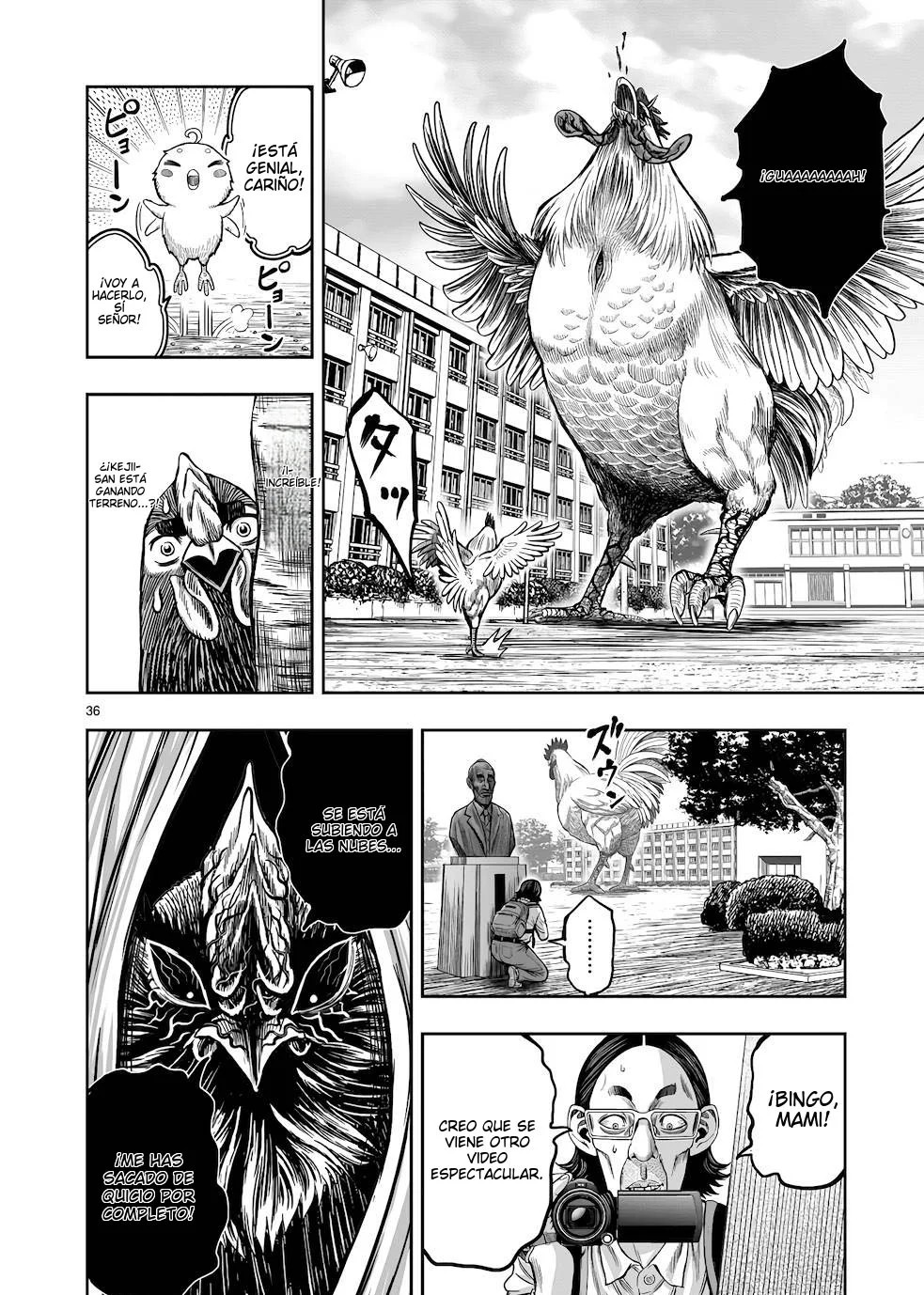 Page 36