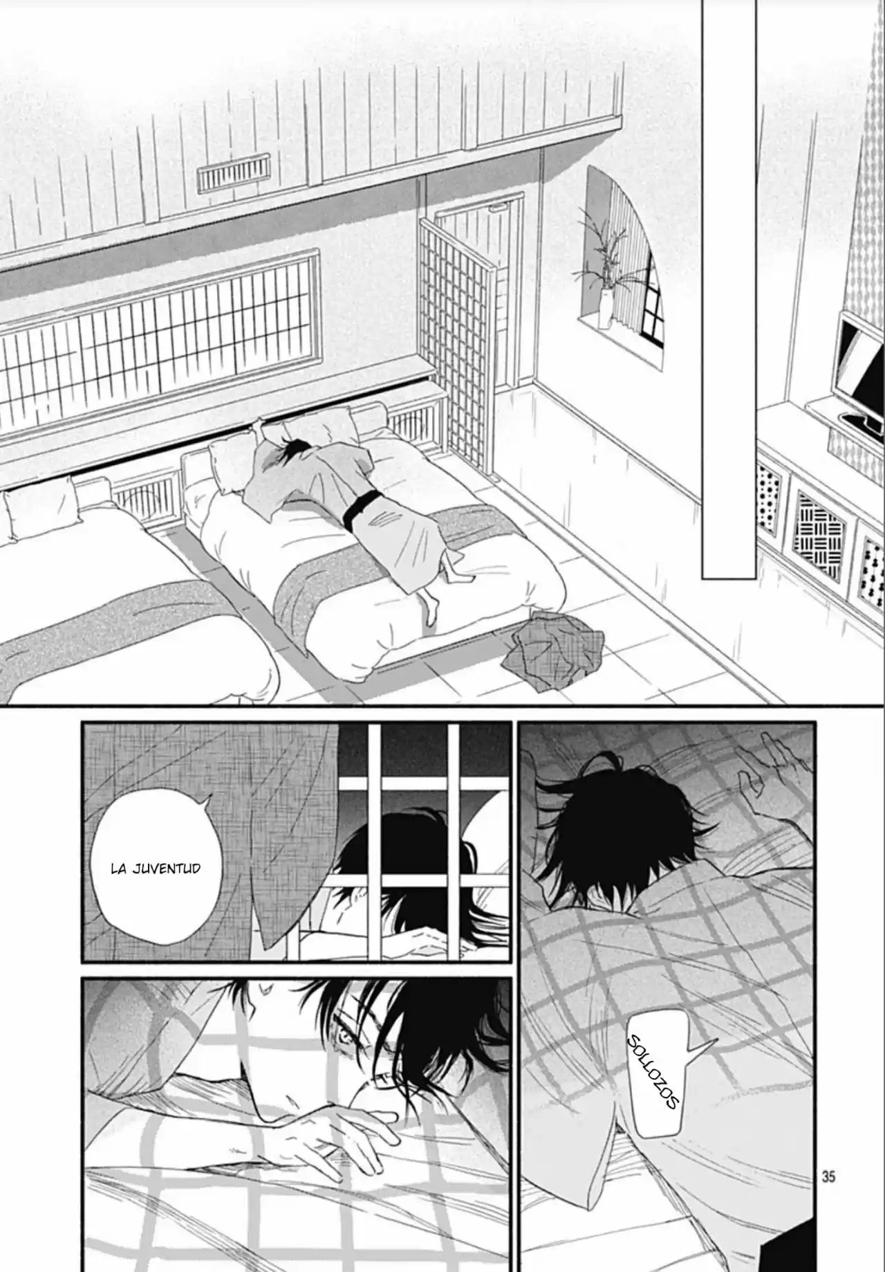 Page 35
