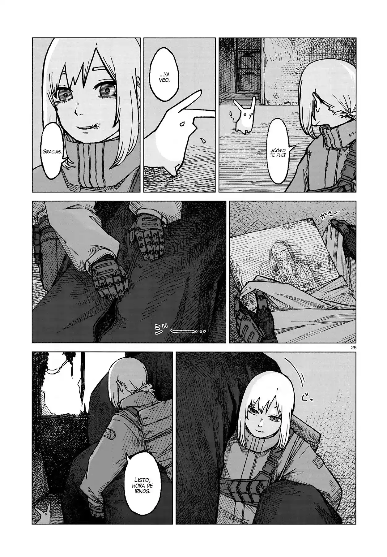 Page 25