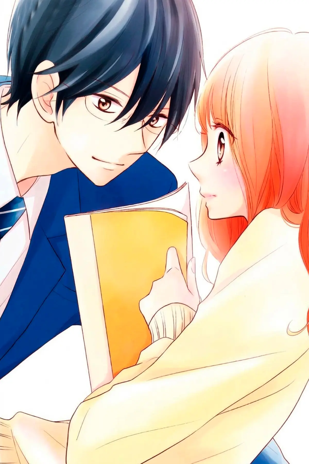 Risou no Seito Kaichou